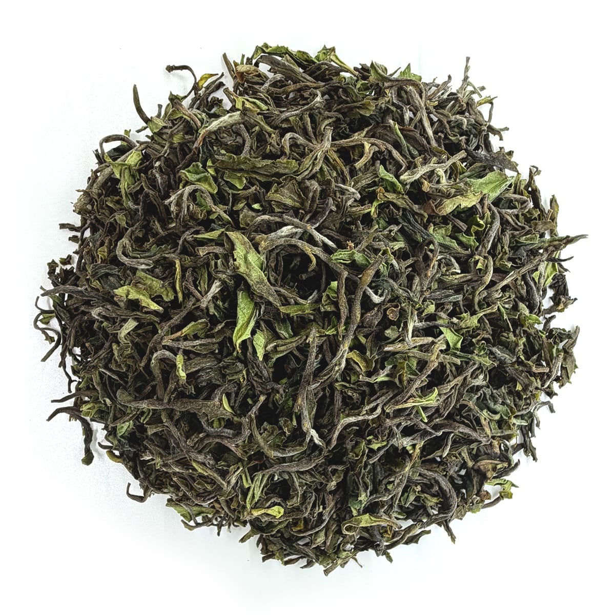 Darjeeling Giddapahar Kurseong Wonder FF 2026