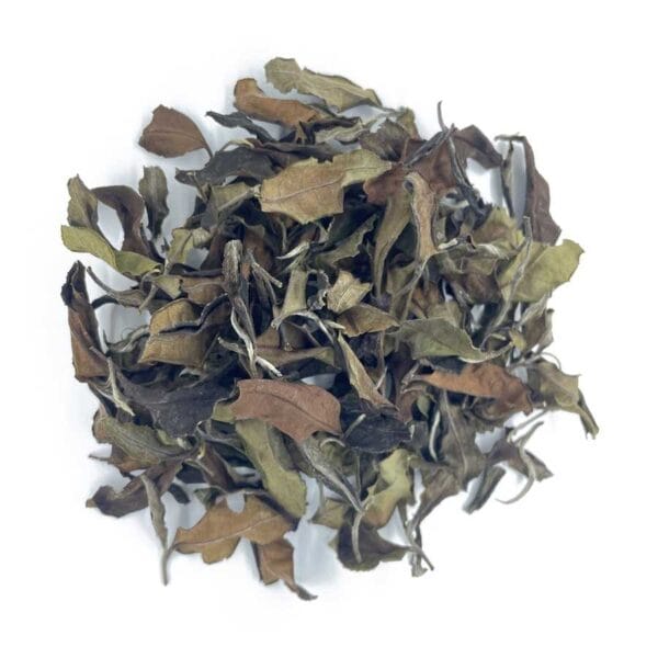 Jin_Xuan_White_Tea_2021
