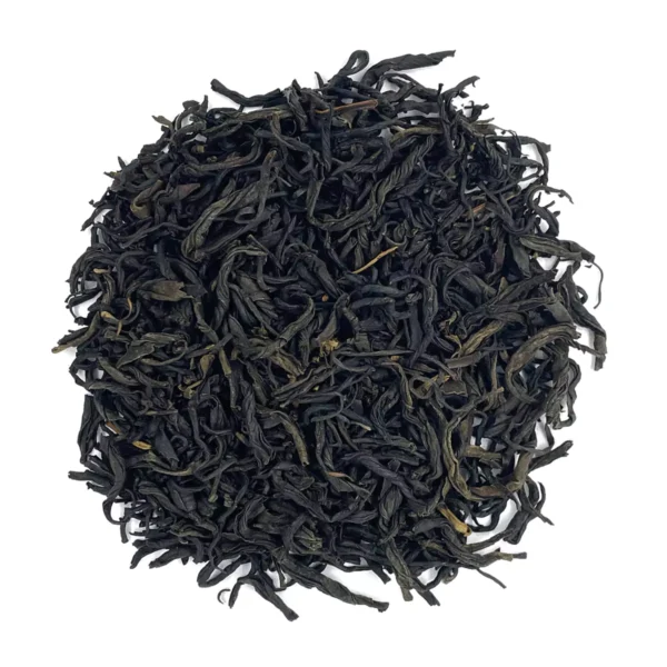 Wakocha Sayama Kaori