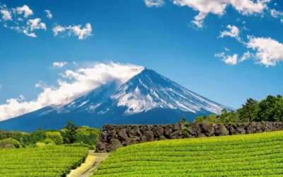 Shizuoka – Japonsko