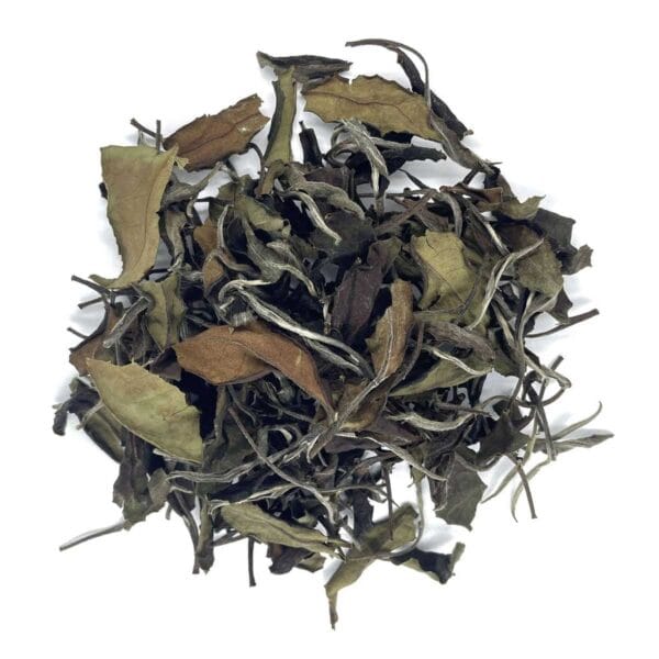 Aged_White_Tea_1998