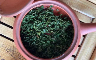 Ako pripraviť zelený čaj