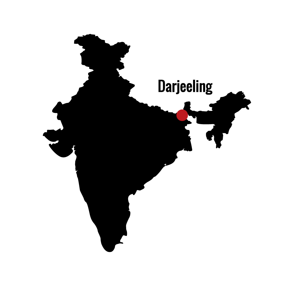 Darjeeling Darjeeling
