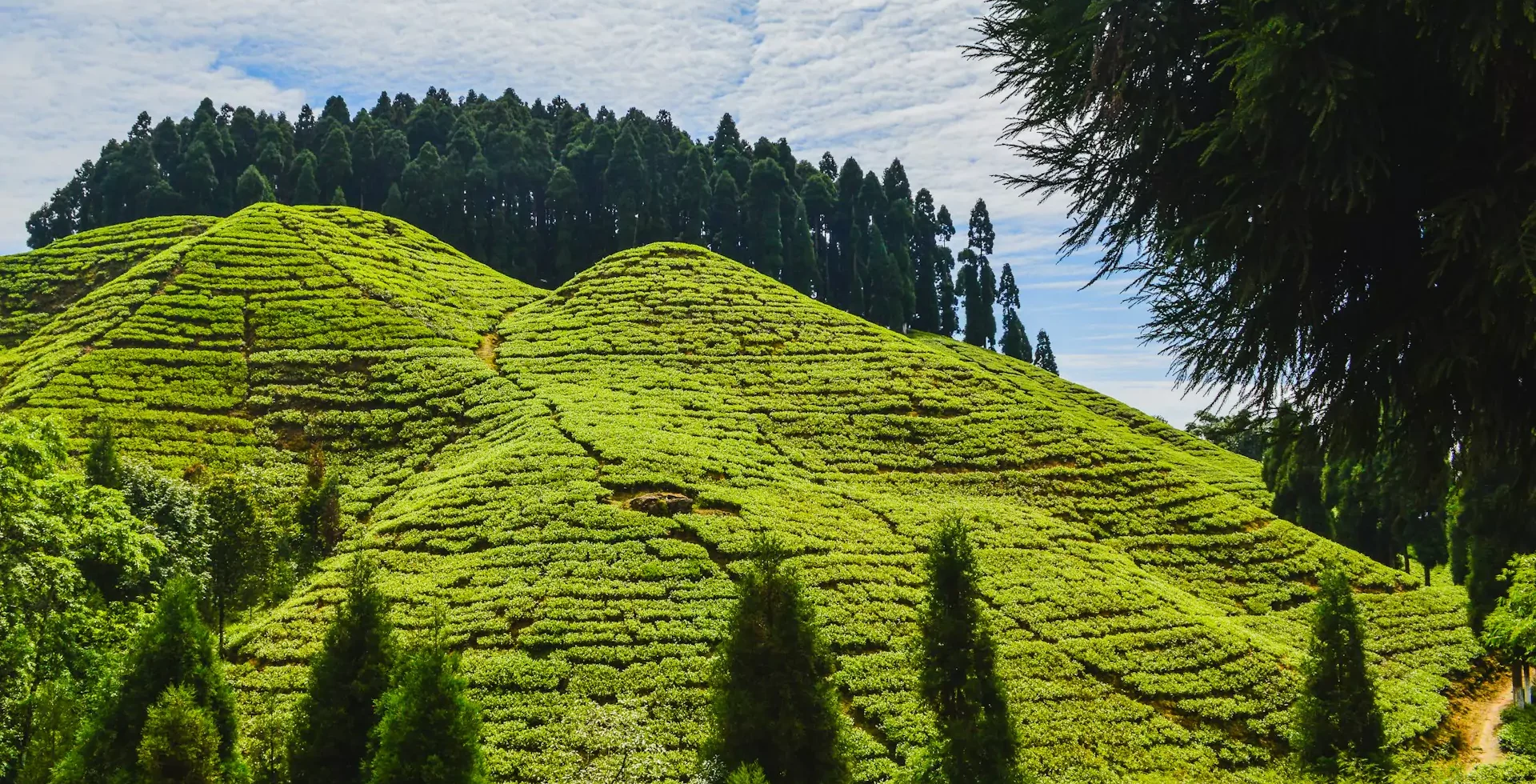 Darjeeling