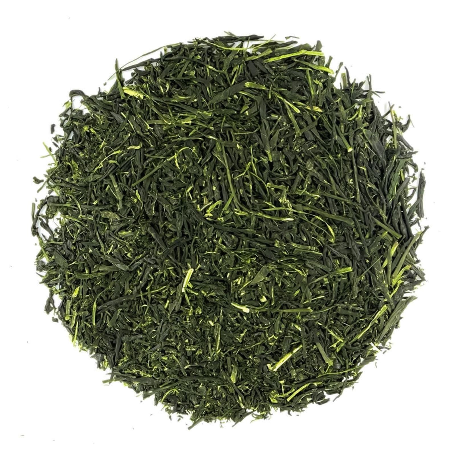 Shincha Asanoka Kamo 2026