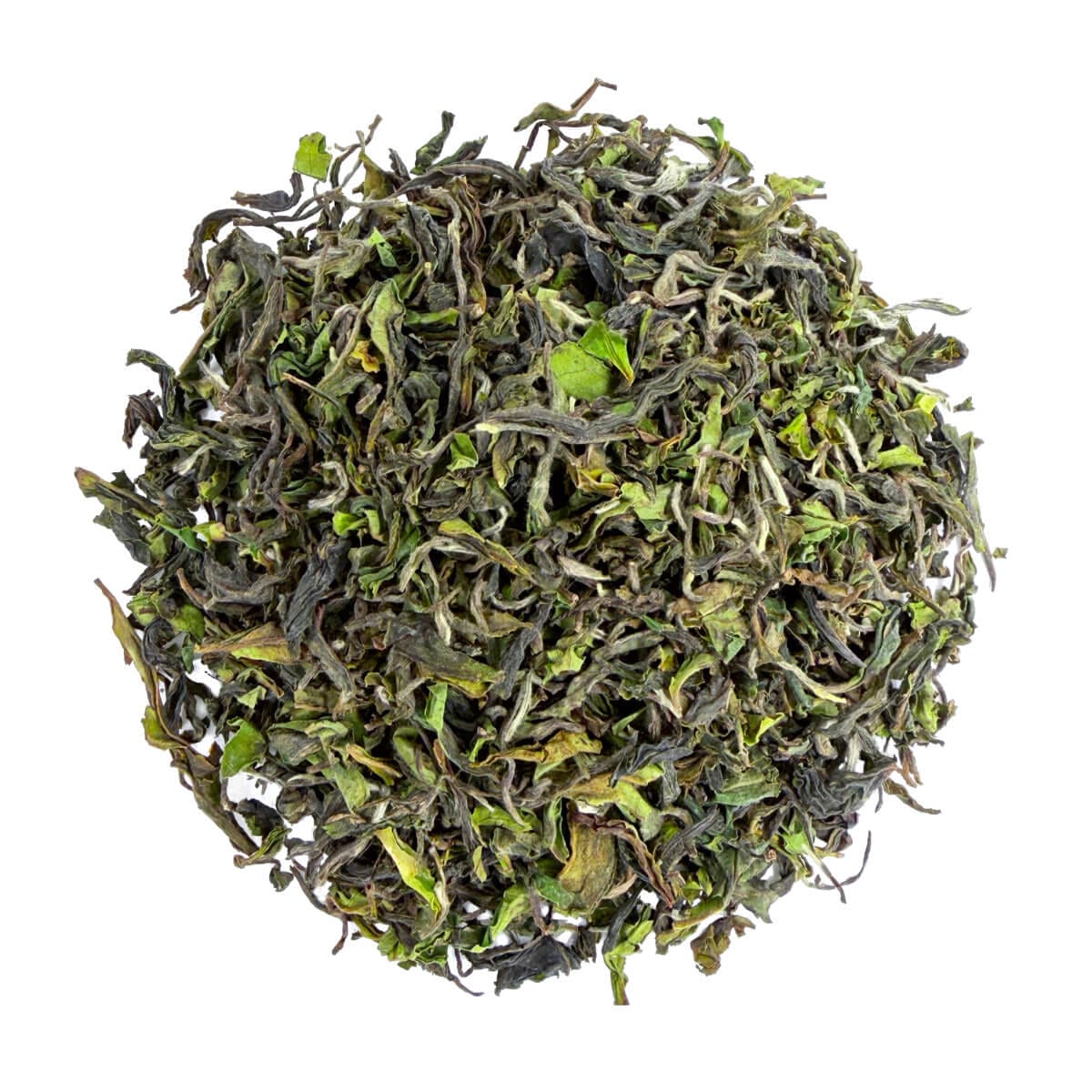 Darjeeling Thurbo Spring Wonder FF 2026